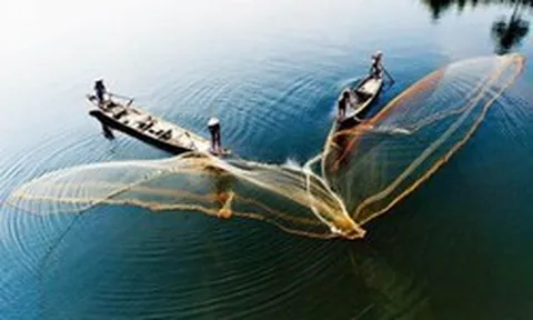 Khối nội tung hàng trăm nghìn tỷ vào chứng khoán Việt Nam, cân lại lực bán ròng từ khối ngoại