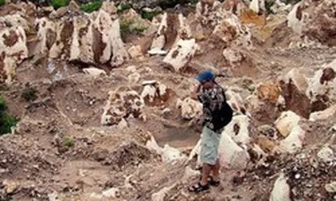 Nauru - quốc gia từng giàu bậc nhất thế giới nhờ phân chim giờ thành bãi rác
