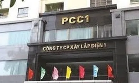 Chủ tịch Trịnh Văn Tuấn bị bắt, PC1 lùi thời gian chốt quyền dự họp ĐHCĐ bất thường sau khi đón cổ đông lớn mới