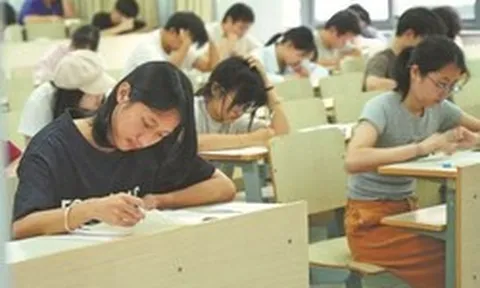 Ngành ngoại ngữ đang bị 70 trường đại học khai tử hàng loạt, AI khiến dịch thuật không còn là kỹ năng sống còn