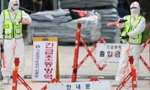 Hàn Quốc báo động: Dịch bệnh lở mồm long móng xuất hiện sau 11 năm, kích hoạt ứng phó khẩn cấp