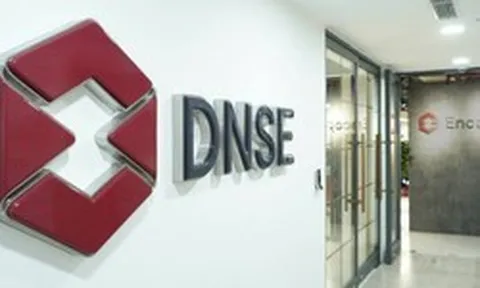 DNSE vào Top 8 thị phần môi giới cổ phiếu niêm yết HNX Quý II/2026