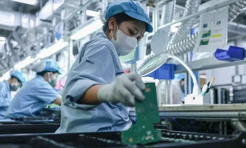 Đề xuất cắt giảm nhiều ngành, nghề kinh doanh có điều kiện