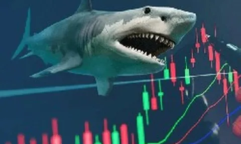 Chứng khoán chờ một sự kiện quan trọng trong tháng 9, gần 3.400 tỷ đồng cổ phiếu Việt Nam có thể lọt "tầm ngắm"