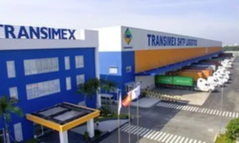 Transimex không mua được cổ phiếu VNF nào như đăng ký