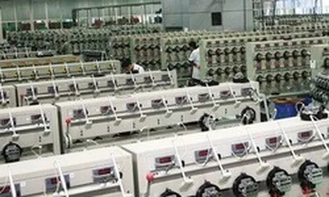 Một công ty trên sàn chỉ có 6 nhân sự báo lãi tăng trưởng 400%, chuẩn bị trả cổ tức 2.000 đồng/cp