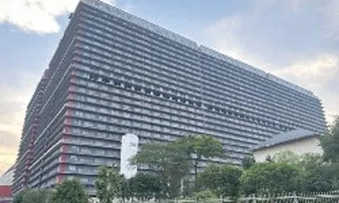 “Chung cư” nuôi lợn cao nhất thế giới của Trung Quốc gây ra điều bất thường, người dân “mua thịt rẻ hơn mua rau”