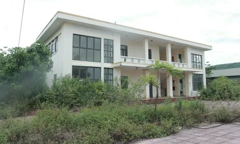 Hà Tĩnh: Gỡ vướng cho trụ sở trạm kiểm dịch tiền tỷ xây xong rồi… bỏ hoang 5 năm
