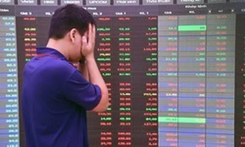 Một cổ phiếu "nằm sàn" 11 phiên liên tiếp, chuyện gì đang xảy ra?