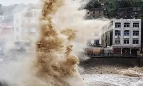 Bão Dolphin hướng về Trung Quốc, tỉnh Chiết Giang triển khai ứng phó