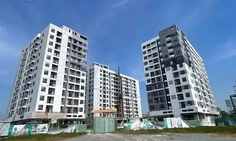 Tạm gác giấc mơ an cư vì giá vật liệu xây dựng “lập đỉnh”
