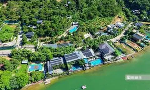 Thành ủy Hà Nội yêu cầu xác minh nhiều villa, homestay "mọc" trong rừng phòng hộ