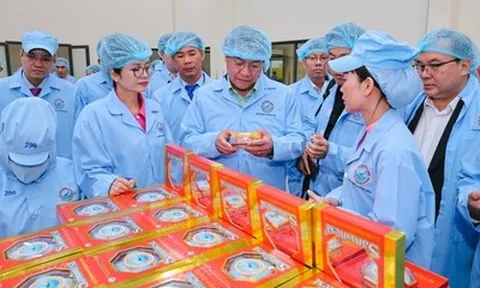 Đoàn Đại biểu cấp cao Viêng Chăn tham quan nhà máy yến sào SANVINEST Khánh Hòa