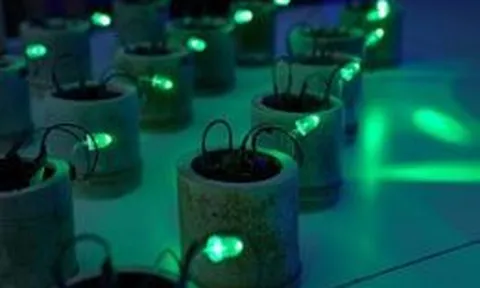 Kỹ sư Nhật Bản phát điện từ đất và phân hữu cơ