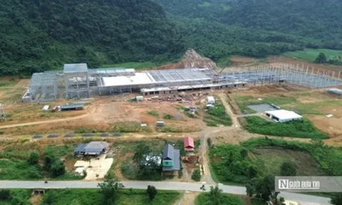 Nhà máy sản xuất ván tre 3.200 tỷ mở đường đưa cây tre Việt "xuất ngoại"