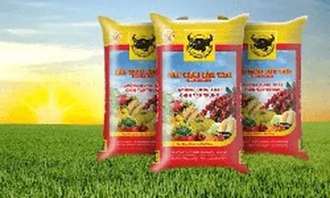 Lợi nhuận “lao dốc”, thù lao nhiều lãnh đạo Phân bón Bình Điền (BFC)  tăng hơn gấp đôi