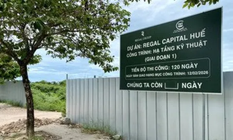 Dự án khu dân cư 700 tỷ đồng dang dở sau quyết định thu hồi đất