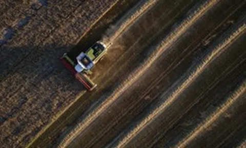 Tên lửa vẫn rơi trên “vựa lúa mì châu Âu” mà “mớ hỗn độn” đe dọa bữa ăn của hàng tỷ người