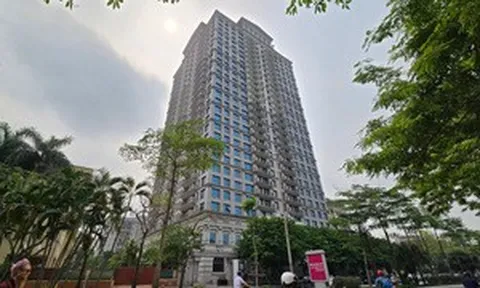 Dòng tiền đang chảy vào phân khúc bất động sản nào?
