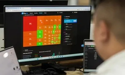 VN-Index tăng, nhưng 49/55 quỹ đầu tư cổ phiếu chủ động hiệu suất âm từ đầu năm