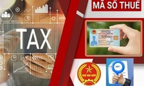 Doanh nghiệp sắp được chấm dứt mã số thuế chỉ sau 3 ngày