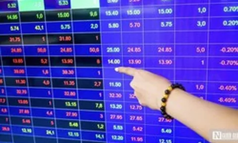 Signo Land, Xây dựng Hòa Bình và PAK Việt Nam bị xử phạt do vi phạm công bố thông tin