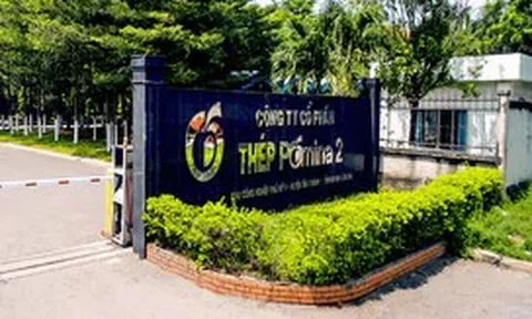 Được Vinhomes hỗ trợ hơn 1.100 tỉ, Pomina đang kinh doanh ra sao?
