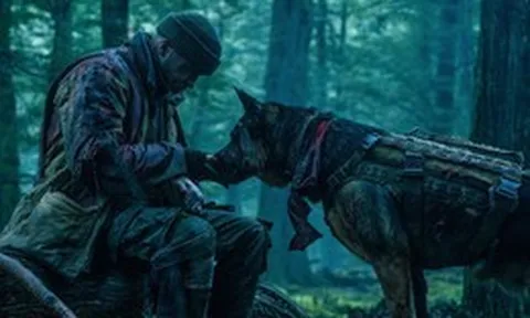 Heart of the Beast: Một người một chó, họ không đơn thuần là chủ và tớ, mà là những người anh em đồng chí thực sự