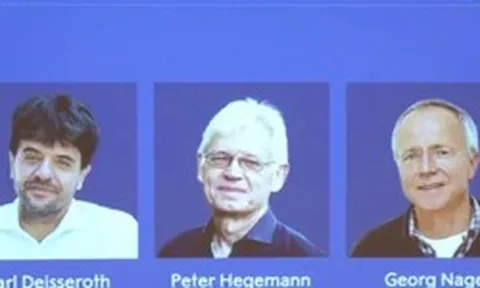 Ba nhà khoa học giành giải Nobel Y học 2026 nhờ ‘công tắc’ ánh sáng