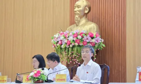 ĐBQH Nguyễn Khánh Ngọc: Đẩy mạnh số hóa, chia sẻ dữ liệu để giảm giấy tờ cho người dân