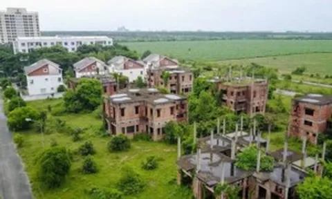 Đề xuất đánh thuế đất bỏ hoang cao gần 7 lần trong hạn mức