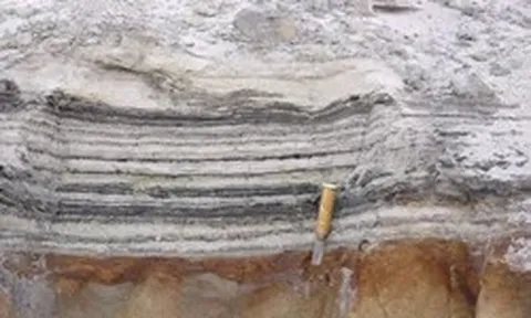 ADN cổ nhất hé lộ thế giới kỳ lạ của Greenland cách đây 2 triệu năm