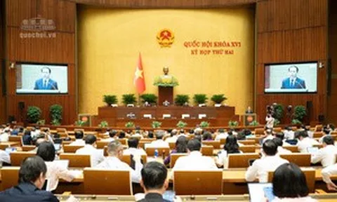 Trình Quốc hội phương án đặt cọc lên 50% giá khởi điểm khi đấu giá đất ở