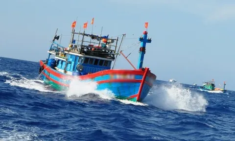Nguy cơ thất thu 127 tỷ đồng từ các vụ tàu cá mất kết nối giám sát tại Cà Mau