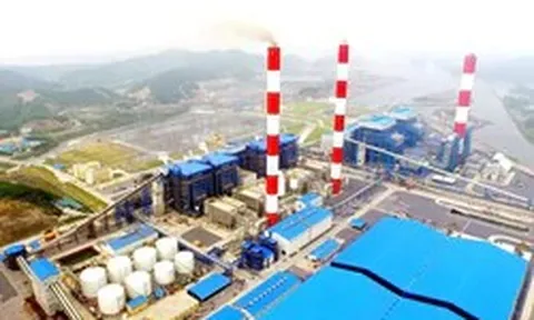 Sau khi ông Lê Việt Cường bị bắt, công ty báo lãi quý 3 gấp đôi cùng kỳ