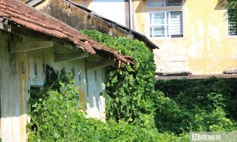 Hiện trạng khu nhà đất công gần 6.000m² ở Huế vừa đổi chủ quản sau thời gian dài xuống cấp