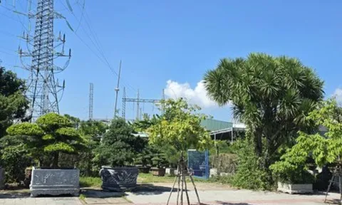 Đà Nẵng cho thuê hàng trăm tài sản công: Nhà nước tránh lãng phí, người dân thêm cơ hội kinh doanh