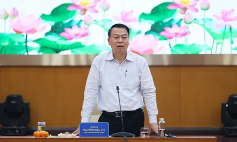 Thứ trưởng Tài chính lý giải nguyên nhân nhập siêu tăng vọt hơn 15 tỷ USD
