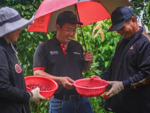 Từ học viên thành người “truyền lửa”: Hành trình đưa an toàn lao động về với các nông trại cà phê
