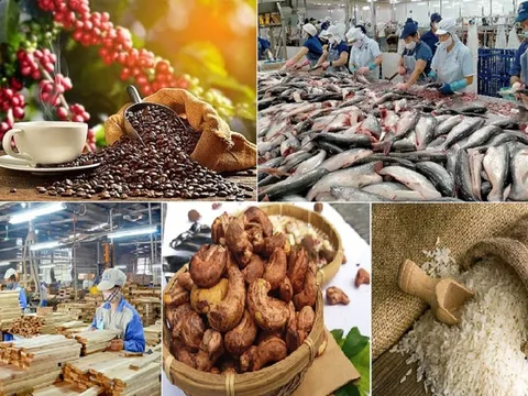 Xuất khẩu nông, lâm, thủy sản tăng mạnh nửa đầu 2025