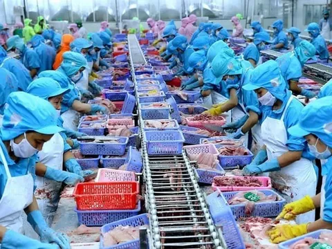 Doanh nghiệp Việt chuẩn bị sẵn sàng để thích ứng với thuế quan của Mỹ