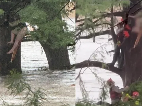Cô gái bị lũ quét cuốn trôi 32km được tìm thấy trong tình cảnh gây sốc