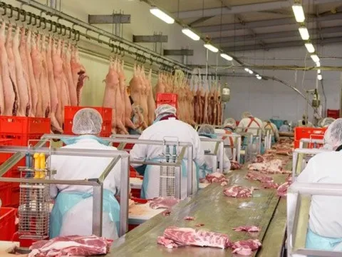 Tập đoàn chế biến thịt lớn nhất thế giới muốn biến Việt Nam thành trung tâm sản xuất toàn cầu