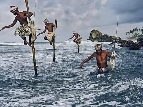 Phiên 23/7: Khối ngoại trở lại mua ròng, "tung" hơn 500 tỷ gom FRT và một cổ phiếu ngân hàng