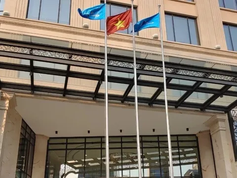 Lãnh đạo doanh nghiệp đua bán cổ phiếu, HIG xin rời sàn