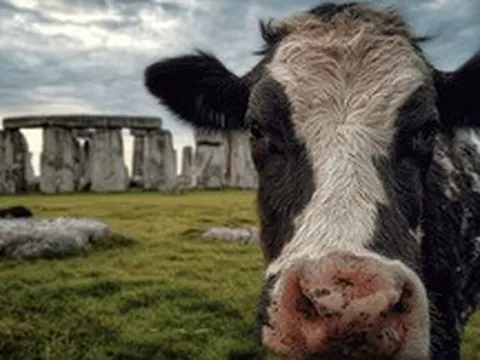 Chiếc răng bò 5.000 năm tuổi đã thay đổi những gì chúng ta biết về Stonehenge