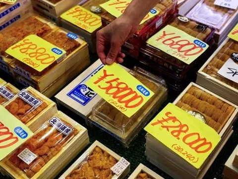 Nhật Bản: Một tô cơm cầu gai có giá 120 USD do nước biển ấm hơn 5°C