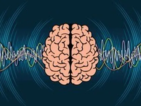 Giải mã bí ẩn: Cách sóng não lọc tiếng ồn trong cuộc sống hàng ngày
