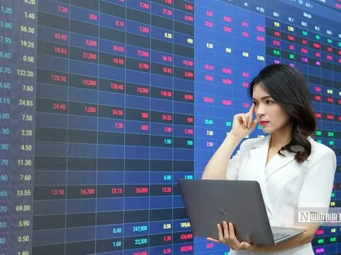 Sau nhịp giảm mạnh, cổ phiếu nào đáng để tích lũy?