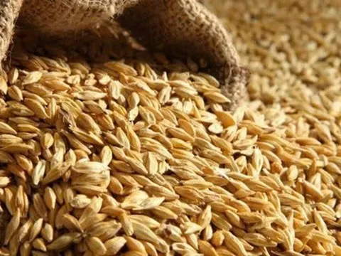 Đường Man của đại gia Đường ‘bia’ báo nợ phải trả gấp 174 lần vốn chủ sở hữu